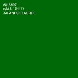 #016807 - Japanese Laurel Color Image